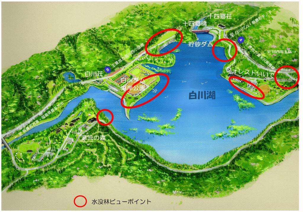 「白川湖の水没林」案内図